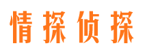 河口区找人公司